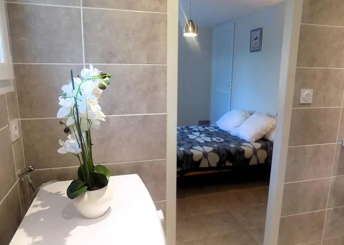 Sur Gironde - Maison Avec Grand Jardin Proche Centre Willa